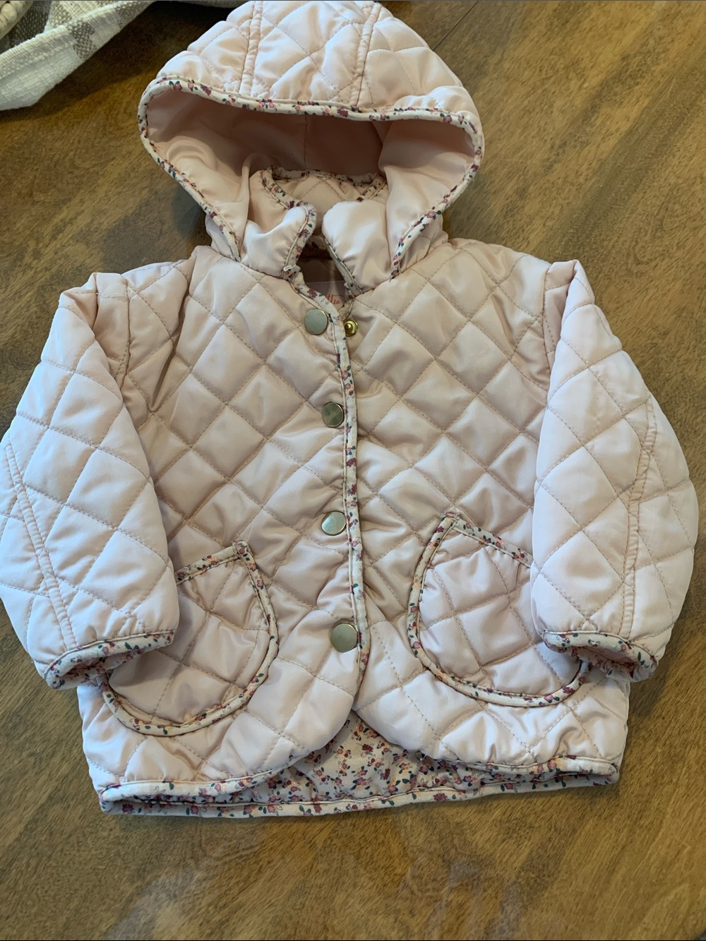 Pink Quilted Hooded Kids Jacket